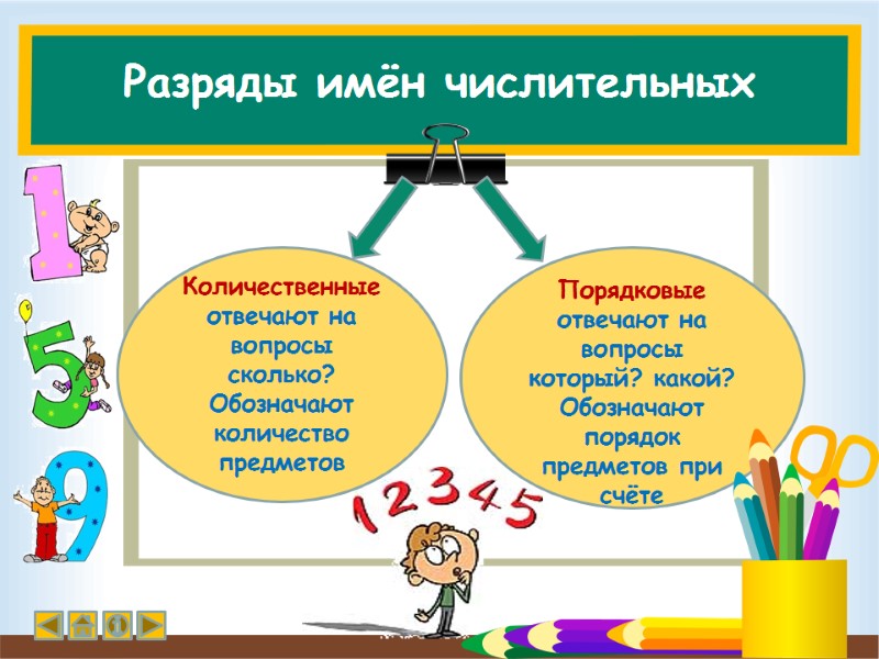 Разряды имён числительных Количественные отвечают на вопросы сколько? Обозначают количество предметов  Порядковые отвечают
